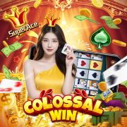 319bet